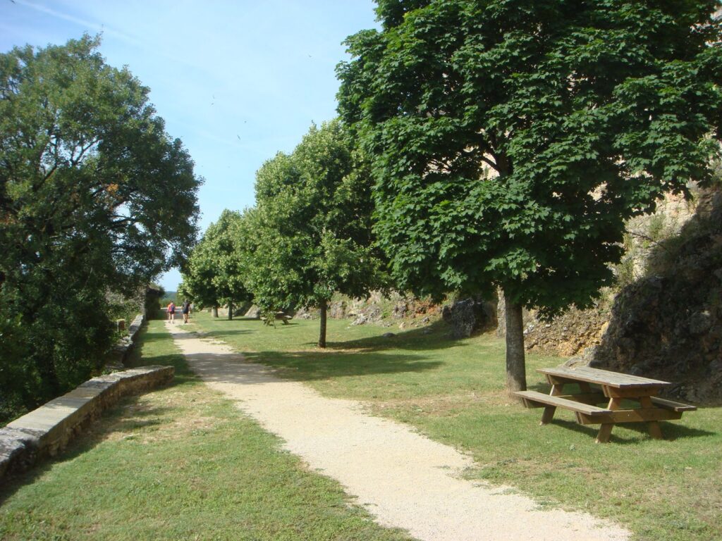 dsc03500