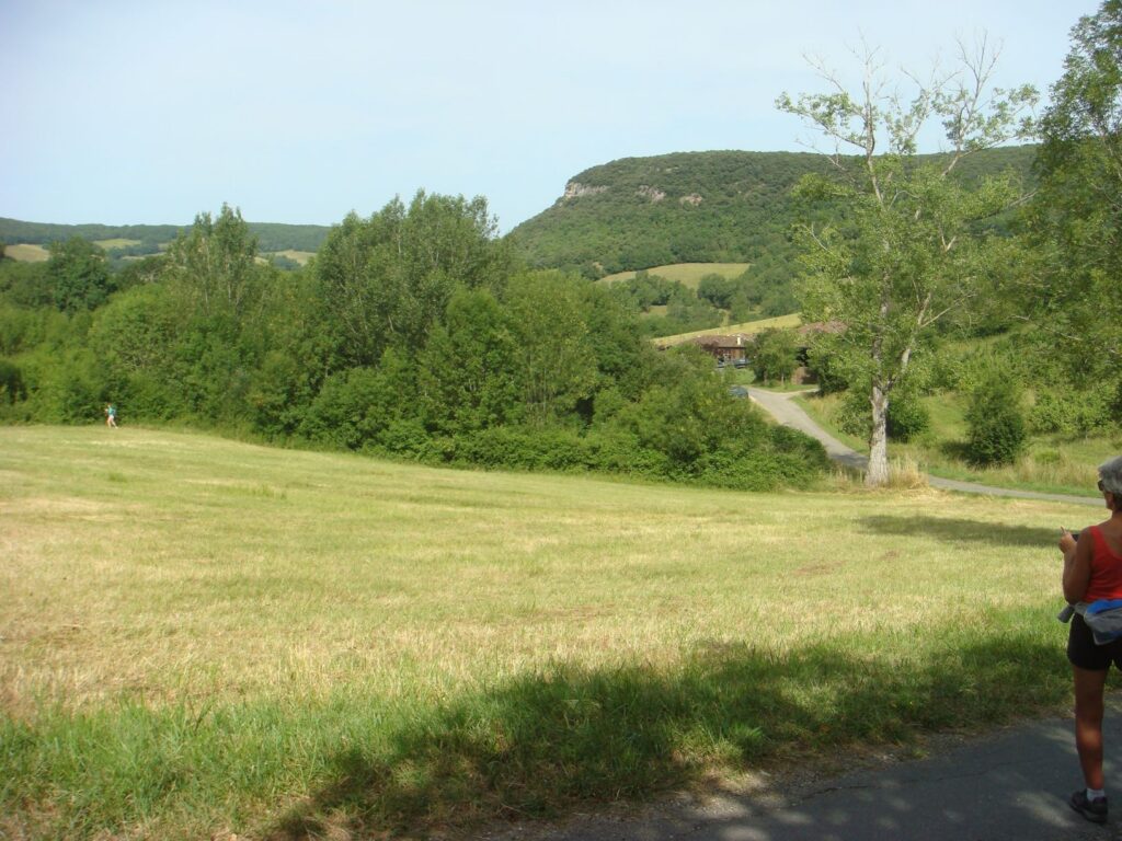 dsc03502