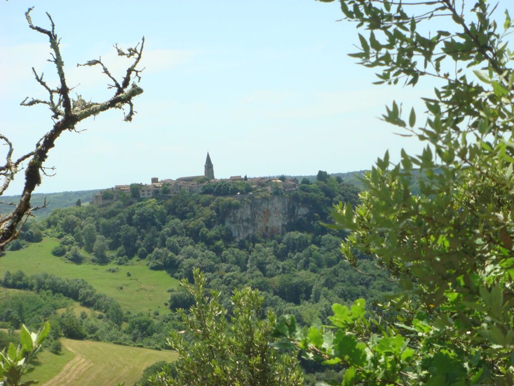 dsc03518