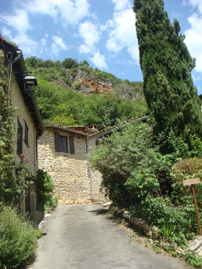 dsc03531