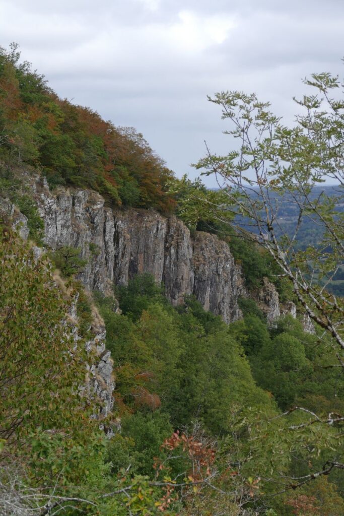 p1150834