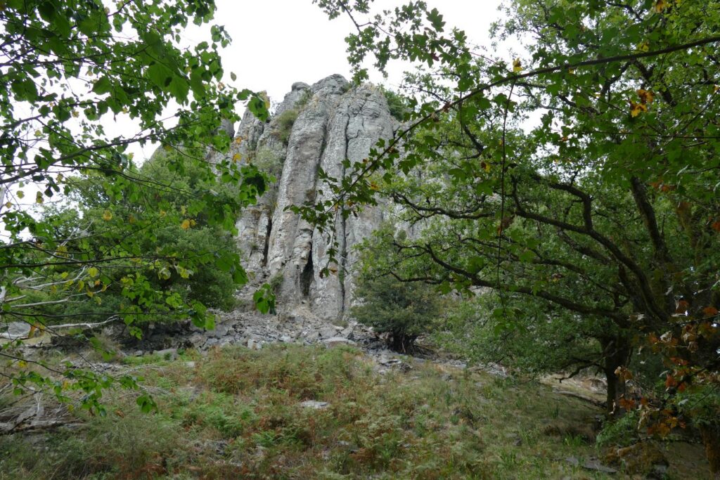 p1150849