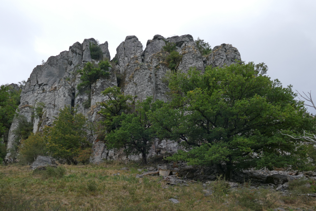 p1150851 1