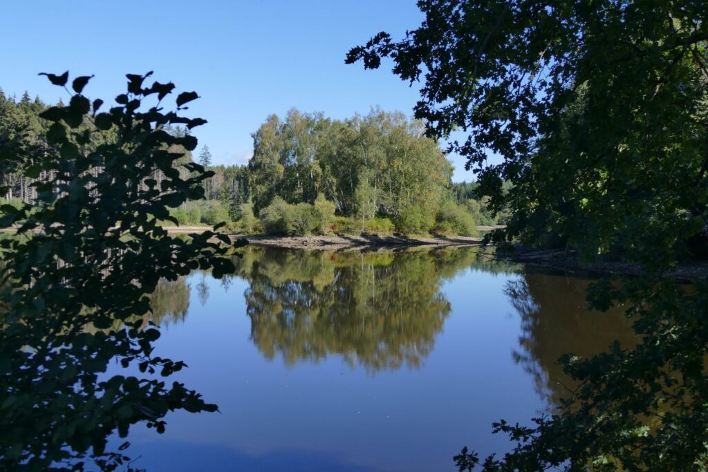p1150895