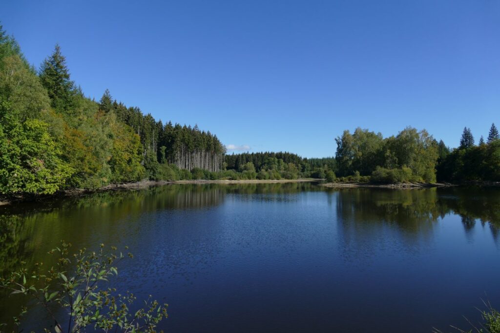 p1150896